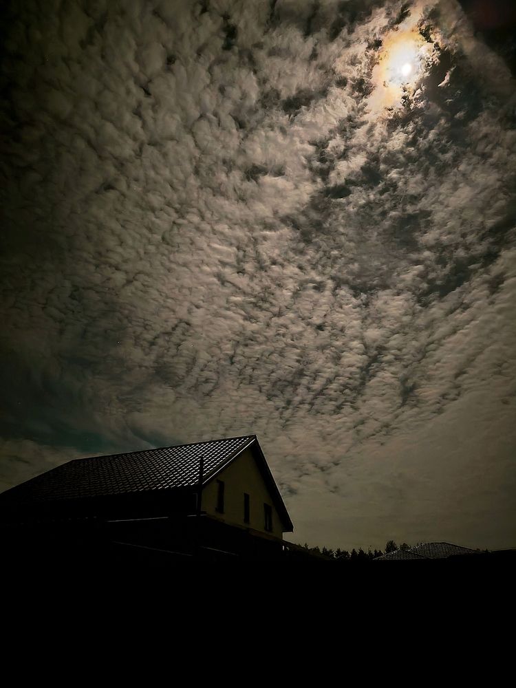 Фотография автора Александр Житник