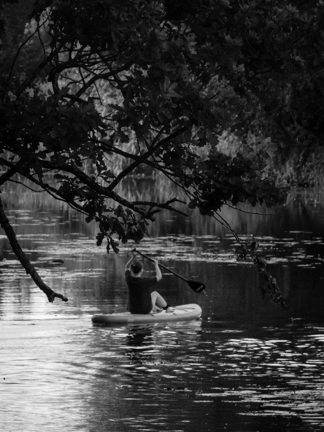 Photo #13756873