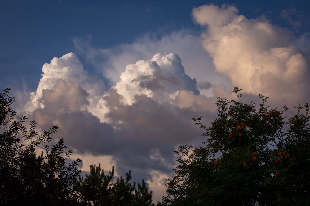 Photograph by Татьяна Арендаренко