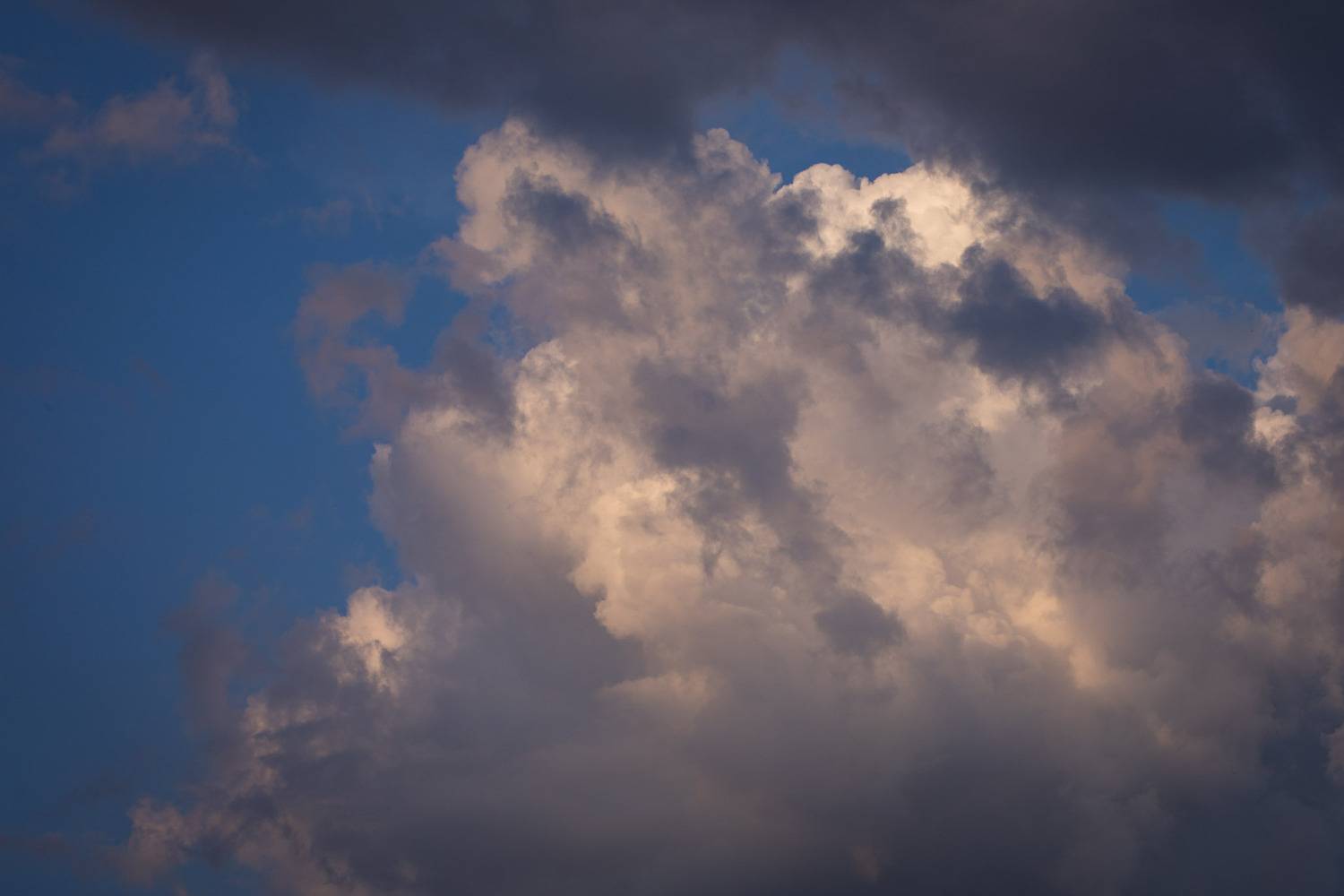 Photo #13756880