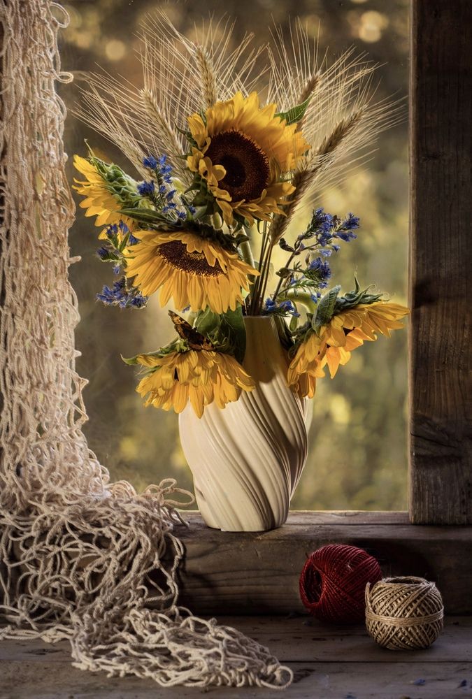 Photograph by Olga Schmidt