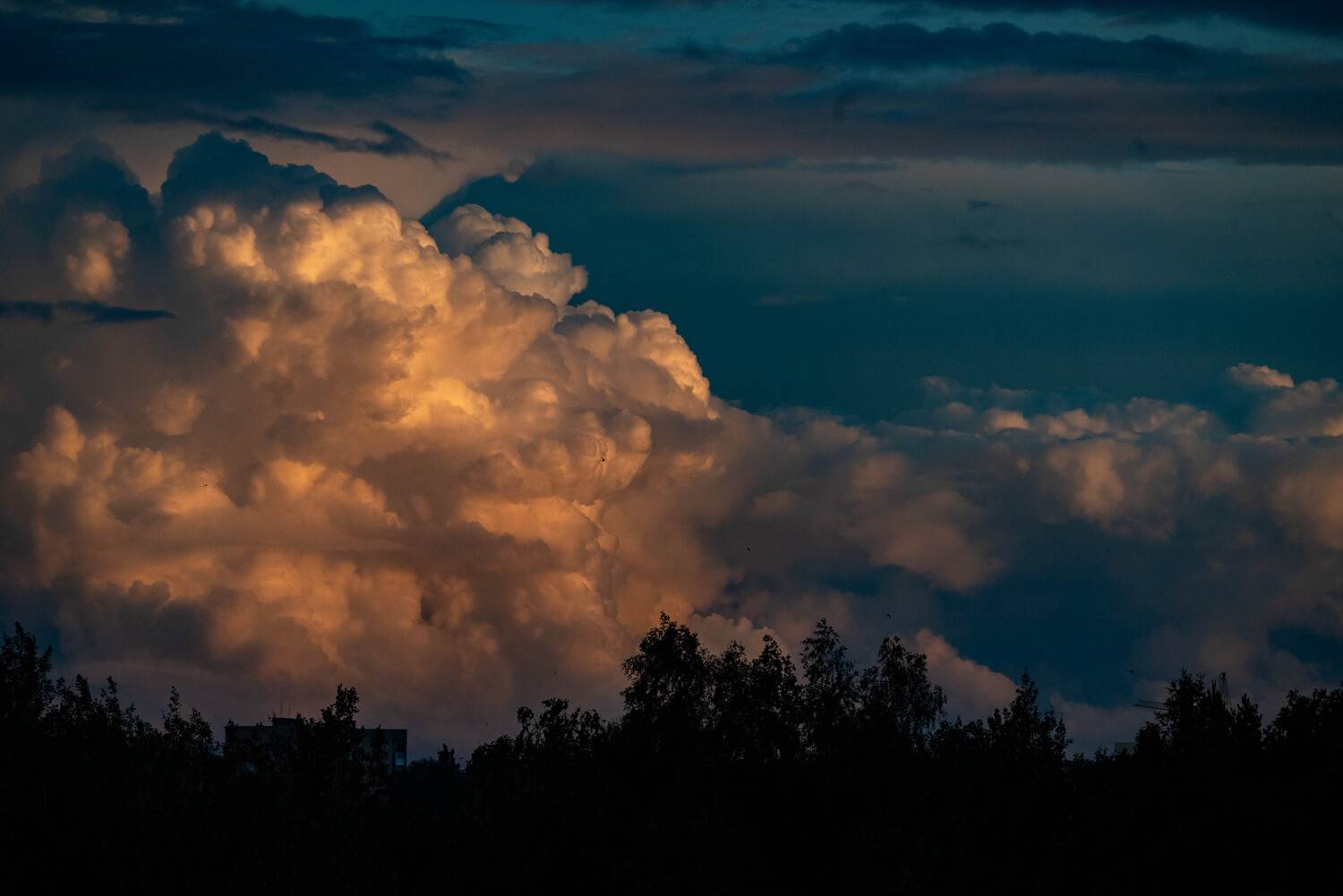 Photo #13756887