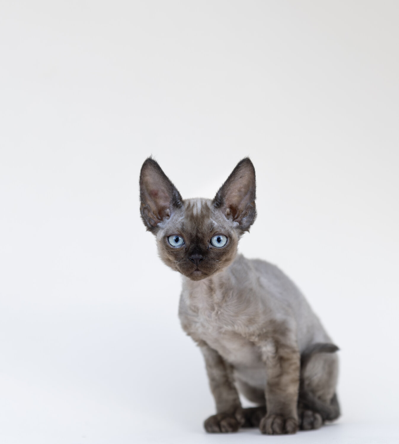 Photo #13756905
