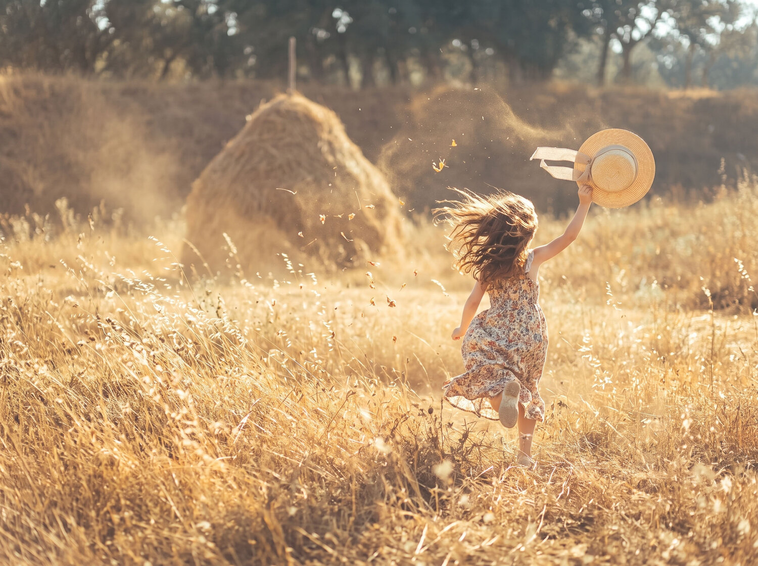 Photo #13757004