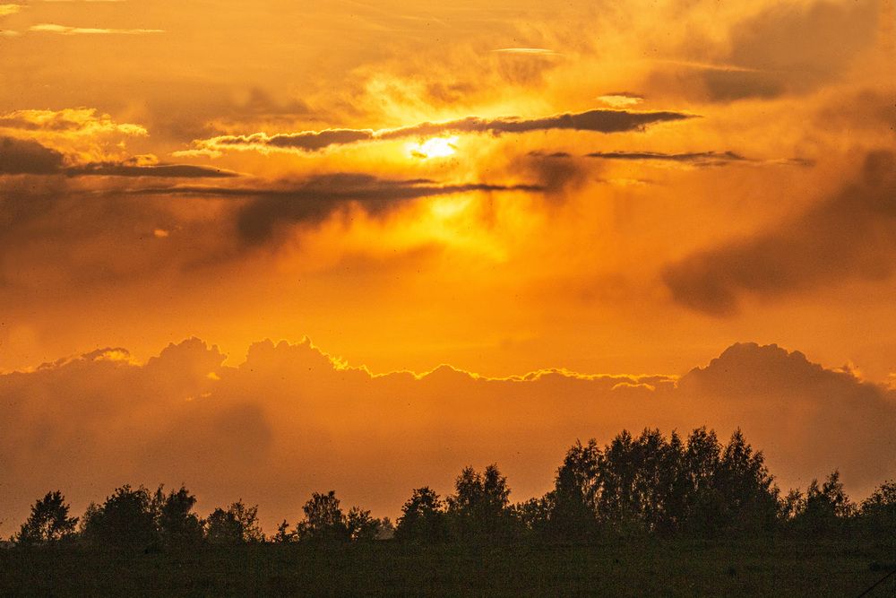 Photograph by Михаил Зильбер