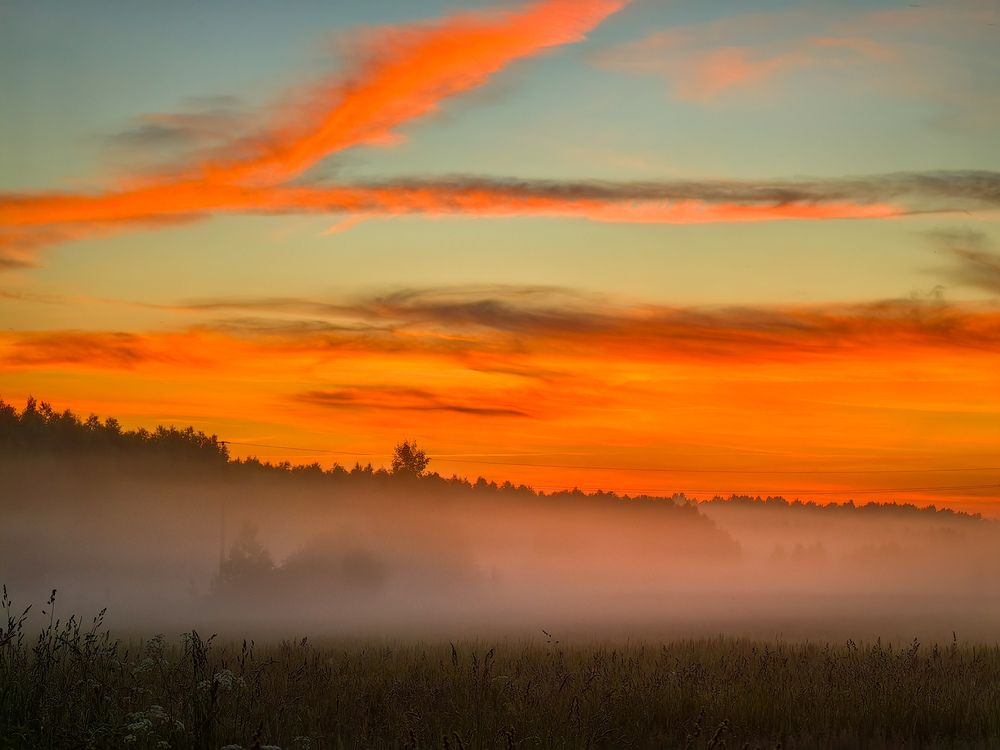 Photograph by Татьяна Емельянова
