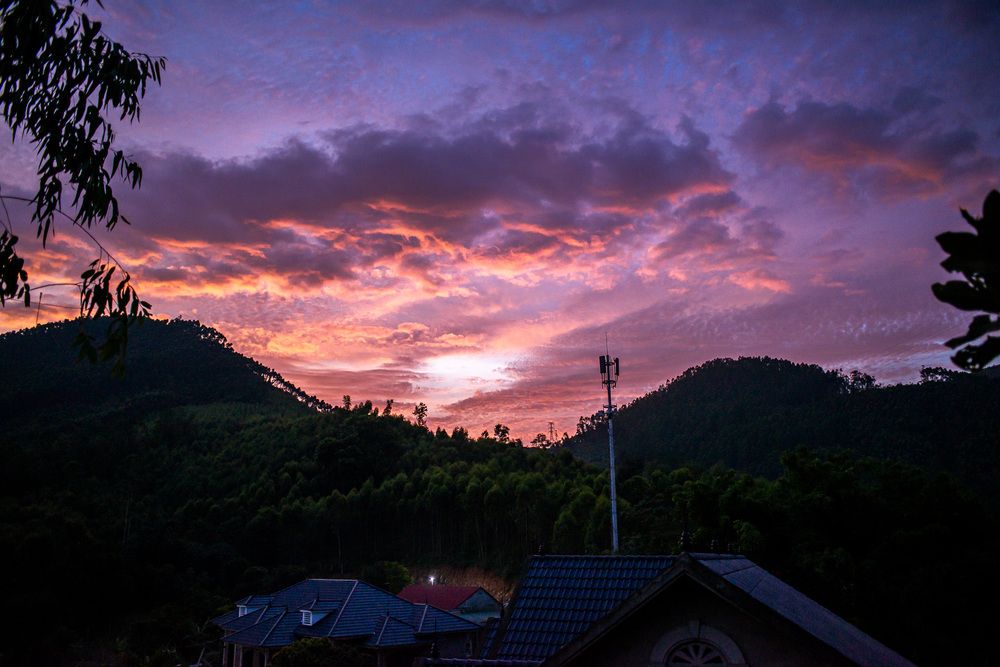 Photo #13757098
