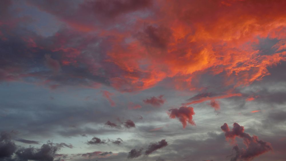 Photograph by Steven Fossiant