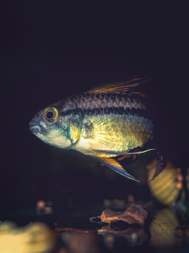 Photograph by Игорь Толкачев