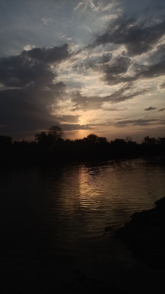 Photo #13757185