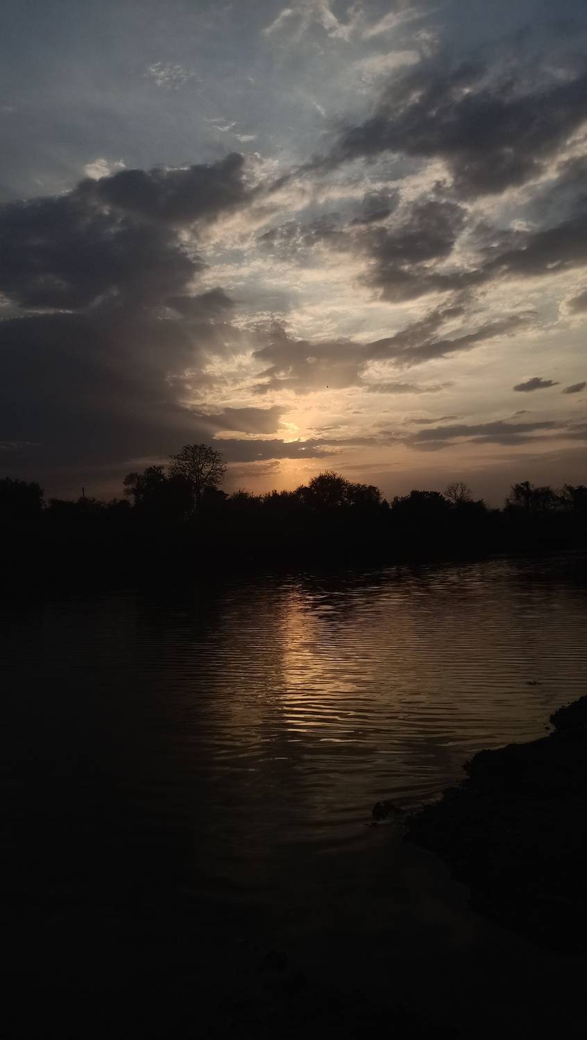 Photo #13757185