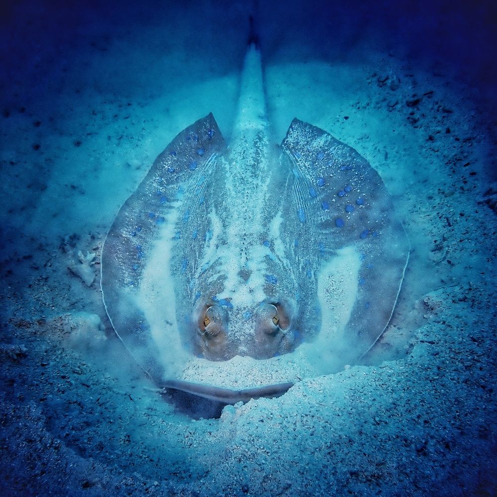 Photograph by Кирилл Леднев