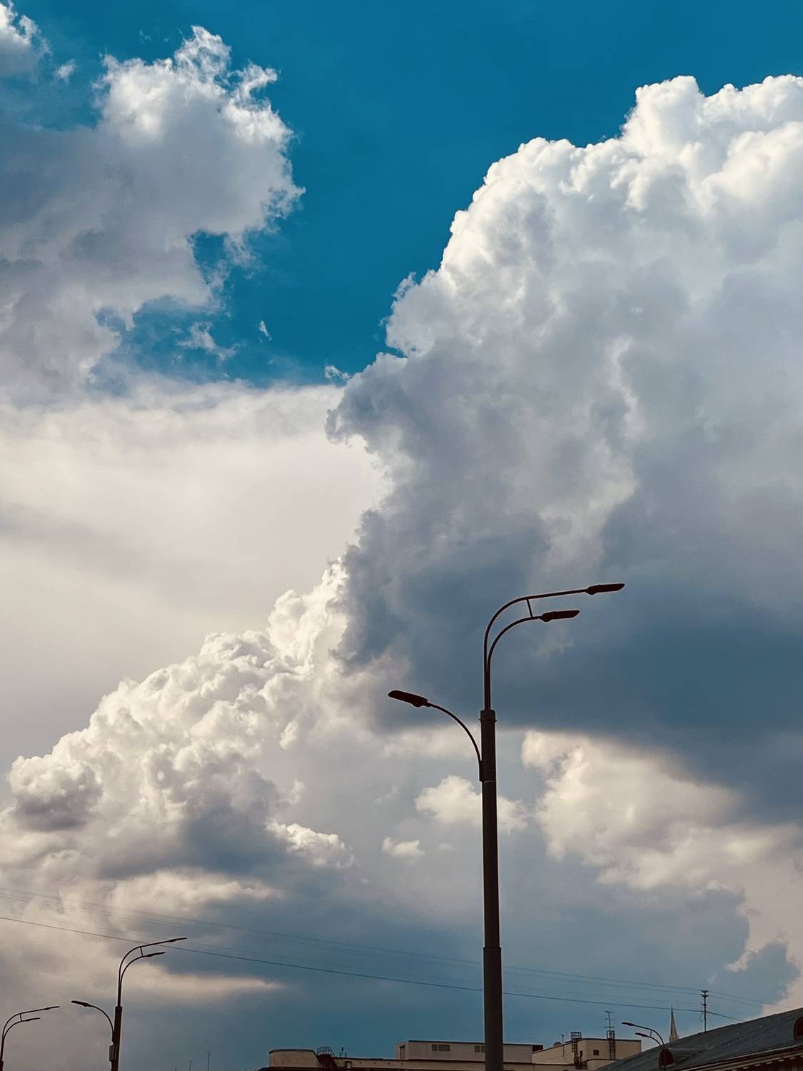Photo #13757284