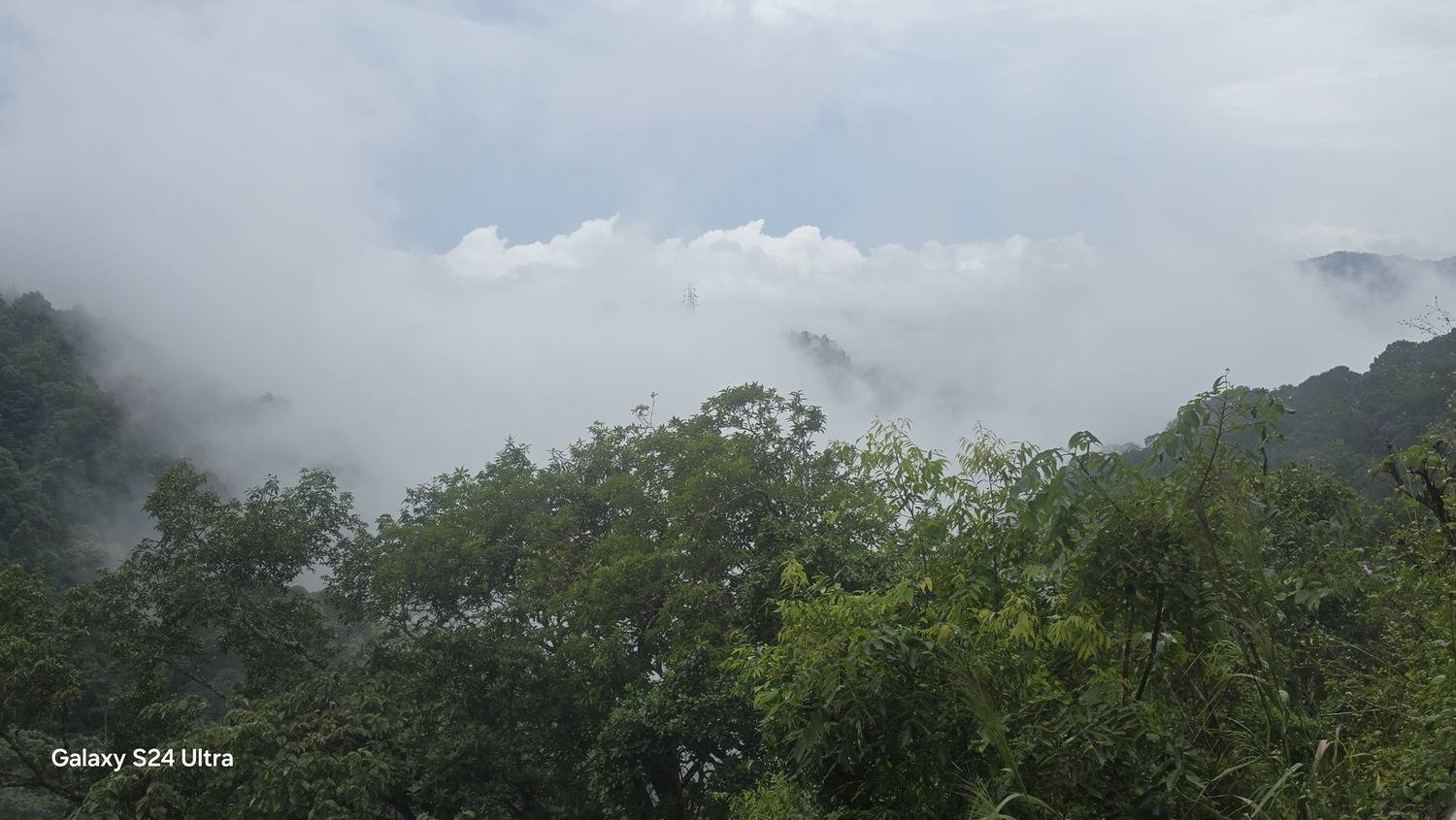 Photo #13757303