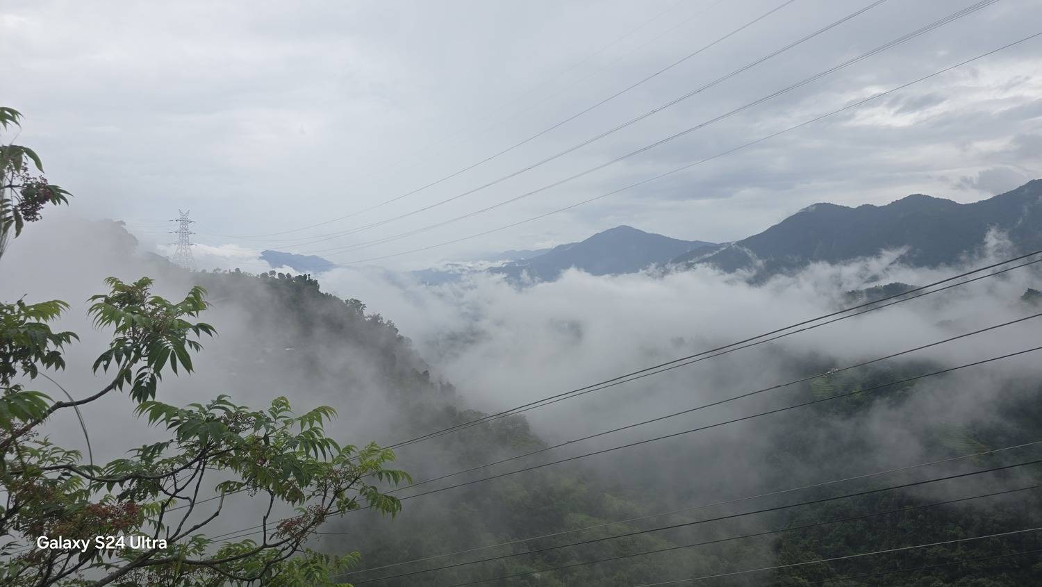 Photo #13757304