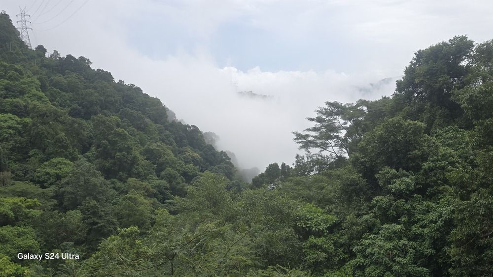 Photograph by satish gautam