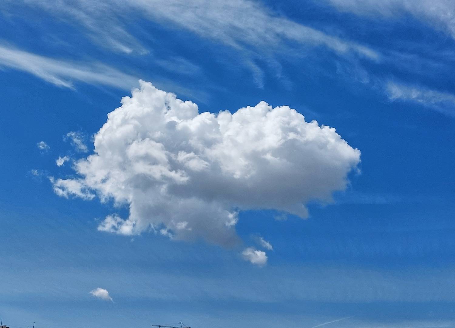 Photo #13757393