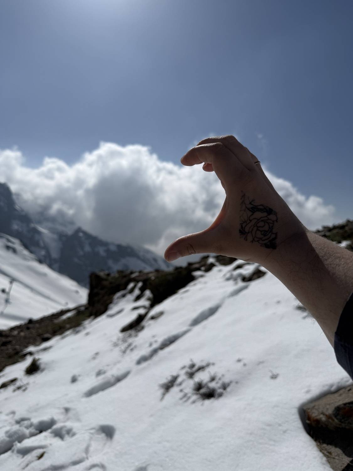 Photo #13757415