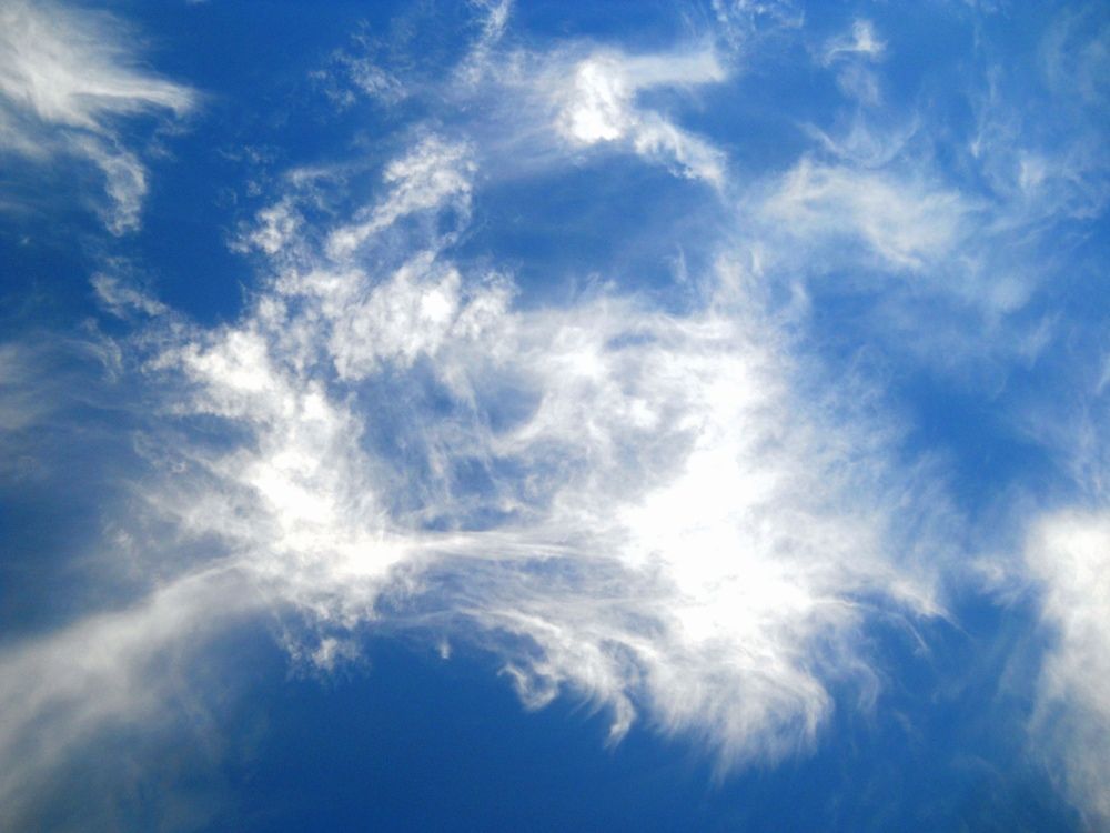 Photo #13757448