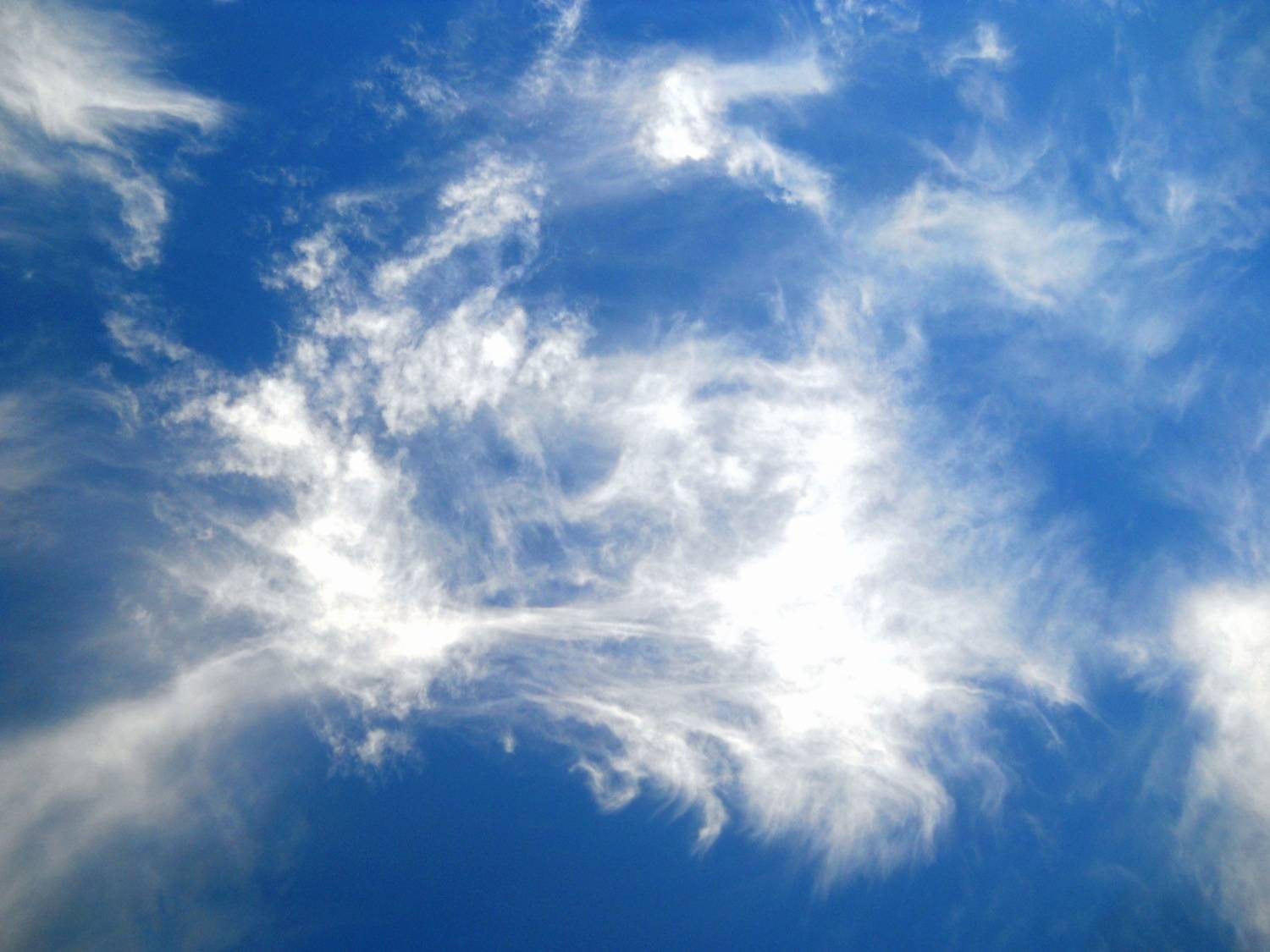 Photo #13757448