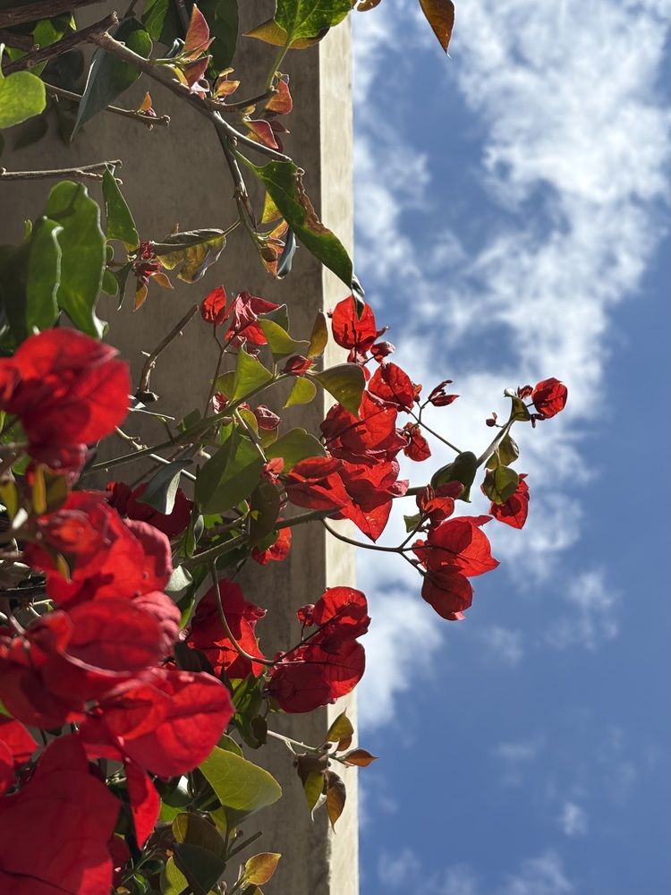Photograph by Елена Громова