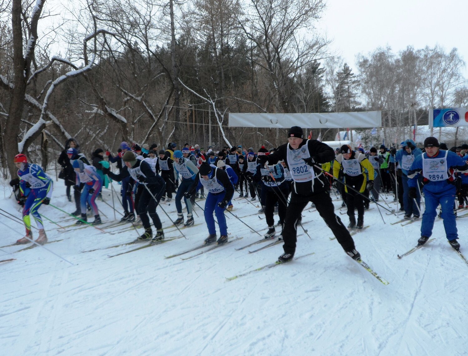 Photo #13757488