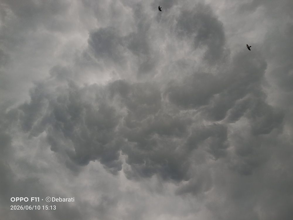 Photo #13757526