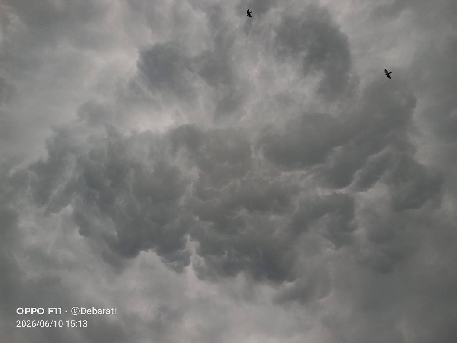 Photo #13757526