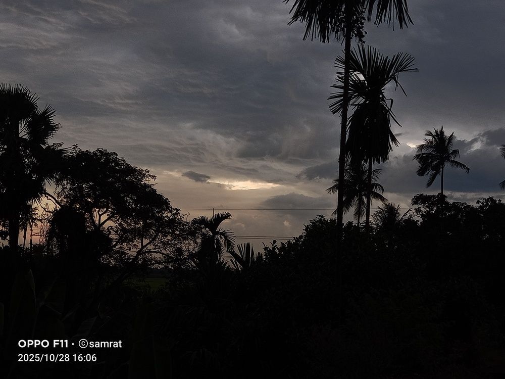 Photo #13757528