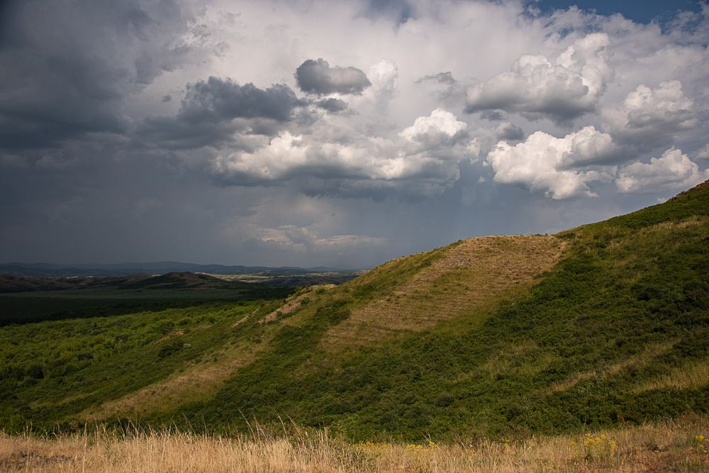 Фотография автора Ирина Яук