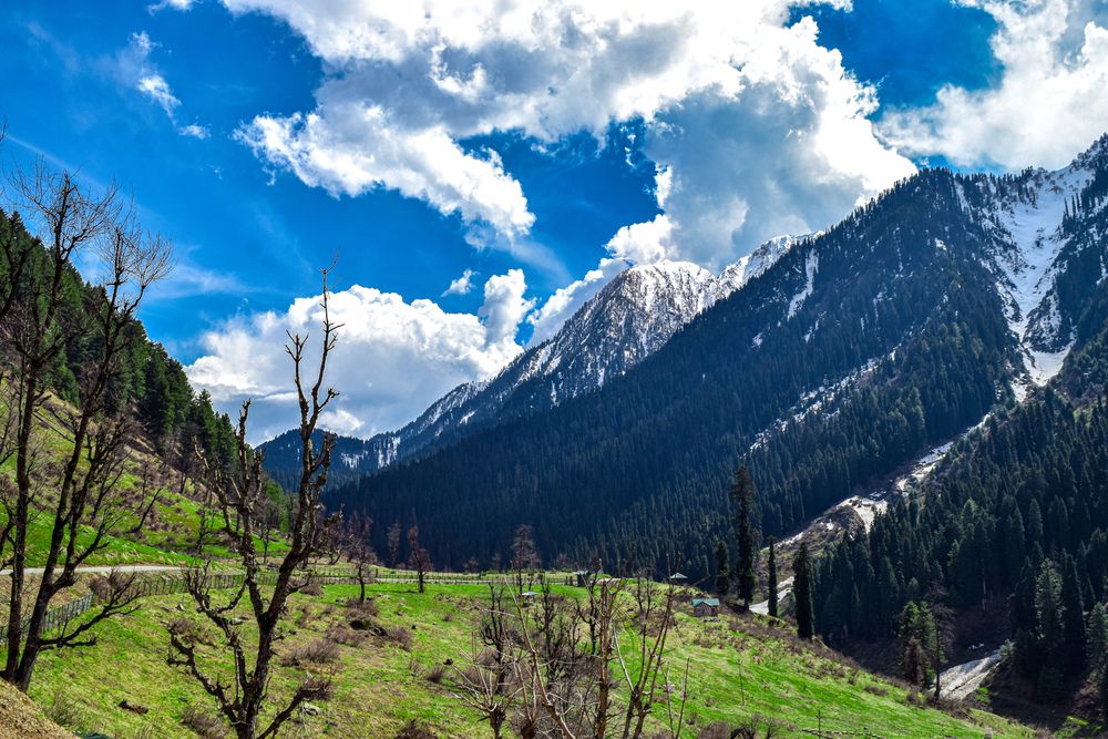 Фотография автора Souvik Bhattacharyya