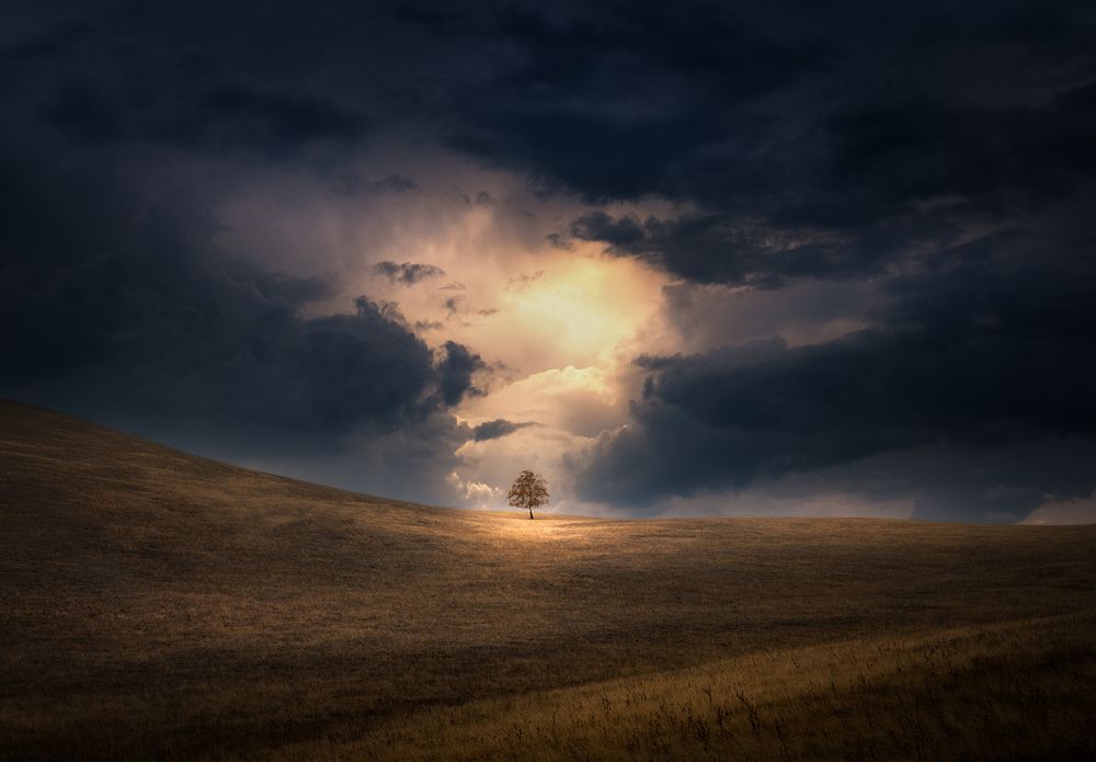 Photograph by Татьяна Бирюкова