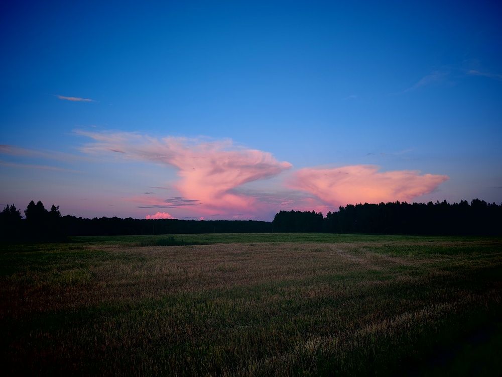 Photograph by Кравцова Светлана