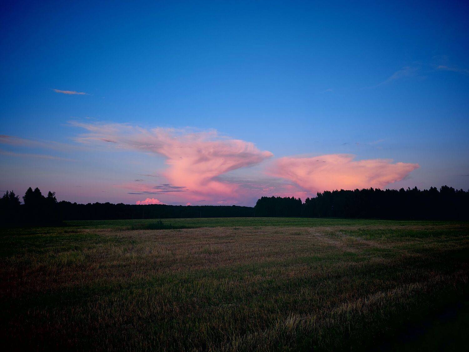 Photo #13757655