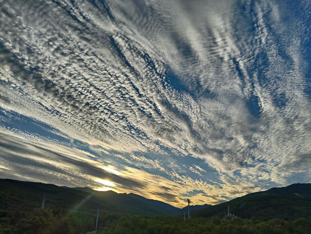 Photograph by Игорь Пшеничников