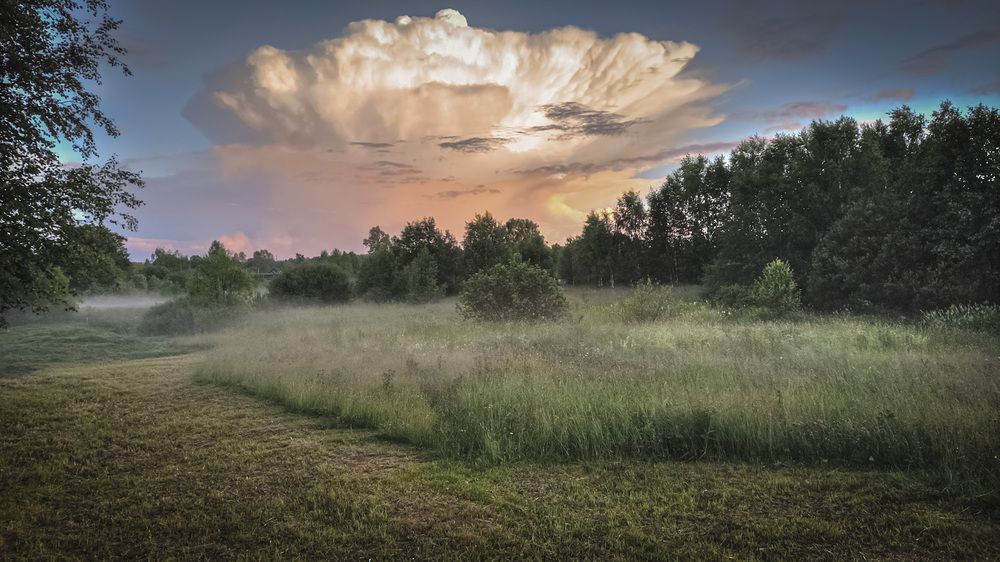 Фотография автора Александр