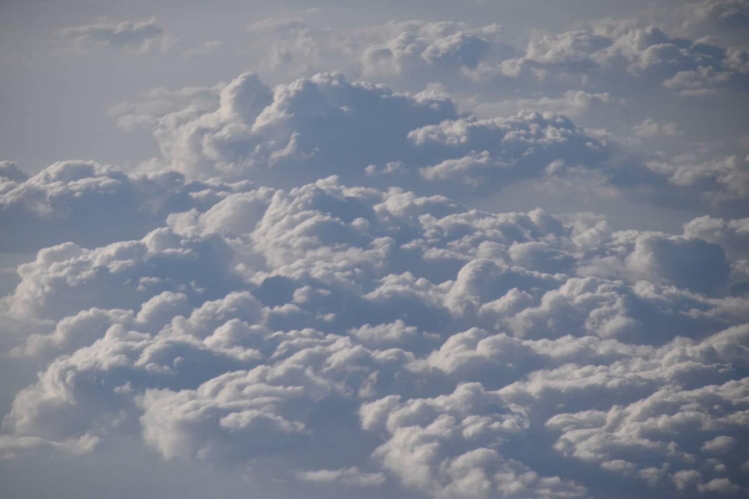 Photo #13757794