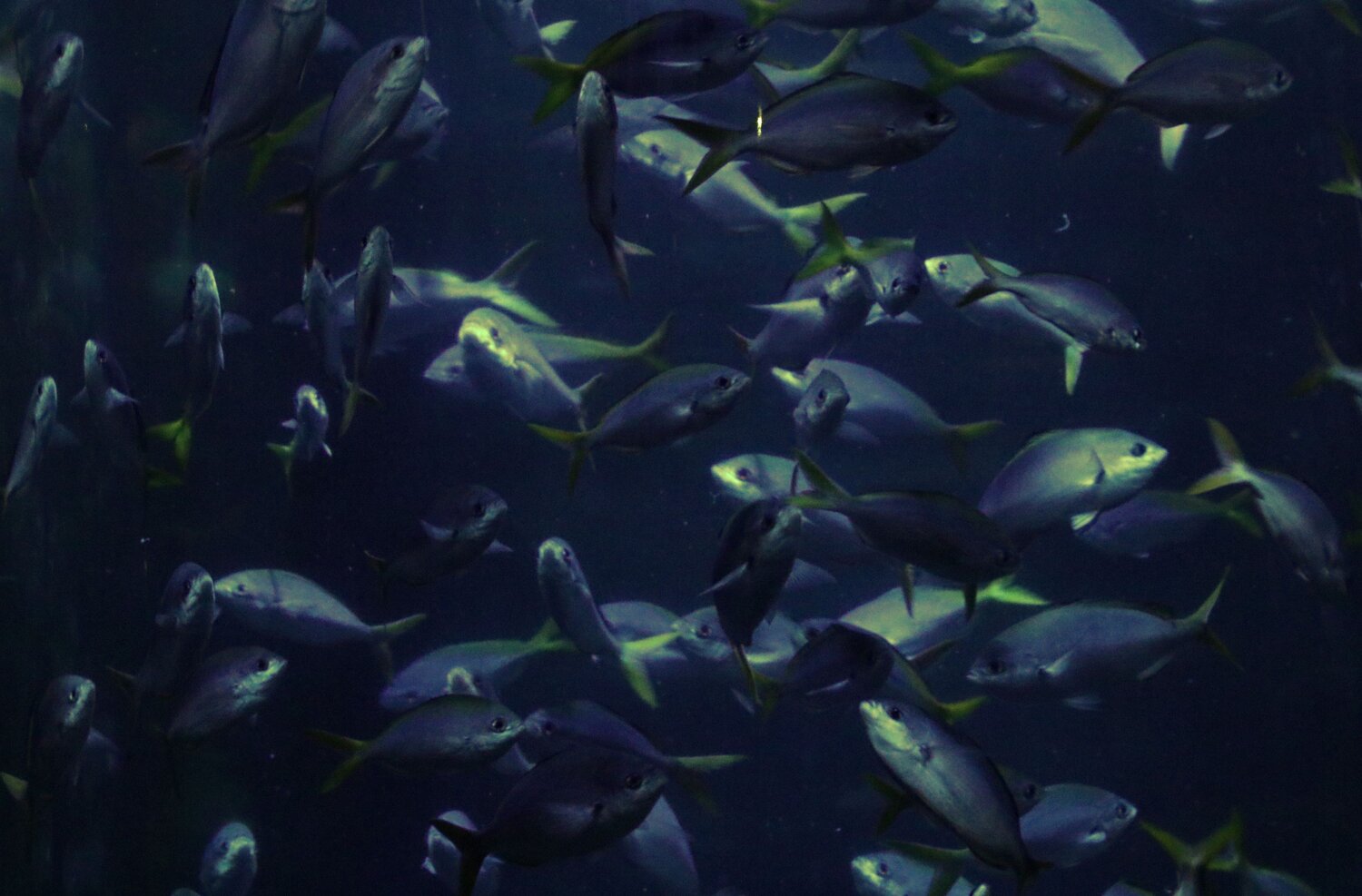 Photo #13757832