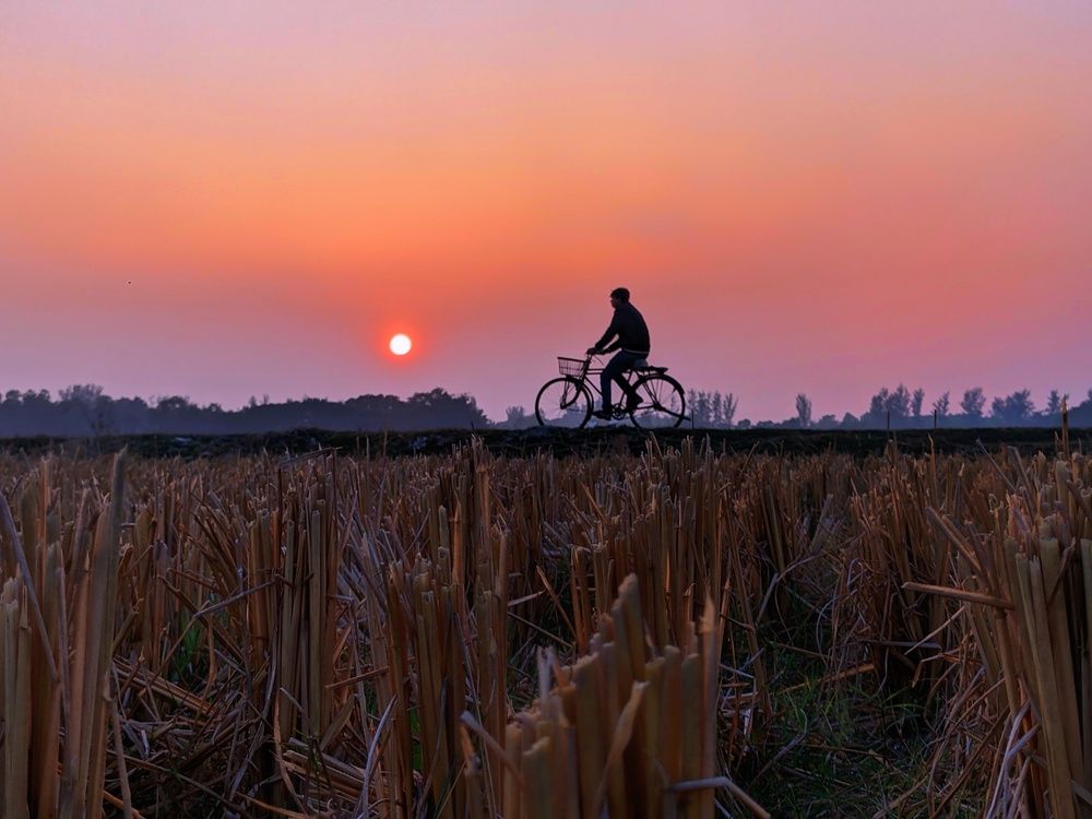 Photograph by Digonto Das