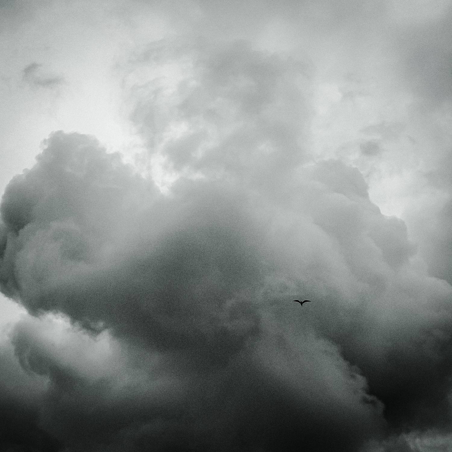 Photo #13757950