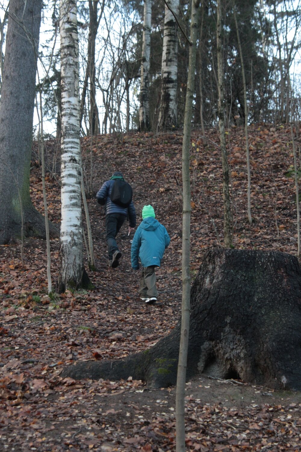 Photo #13758065