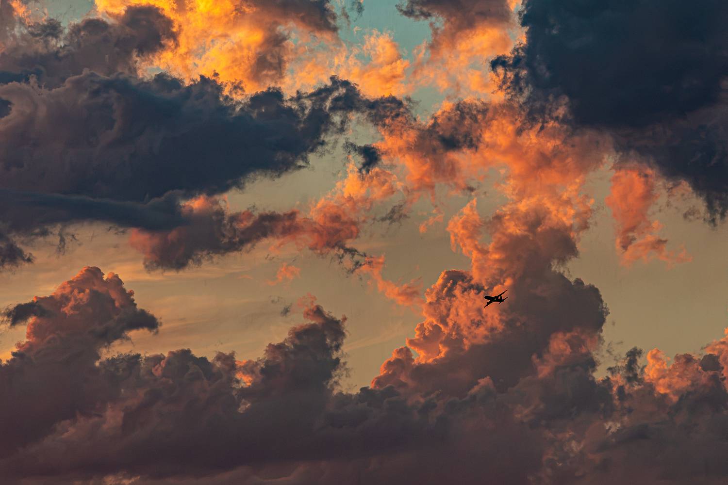 Photo #13758089