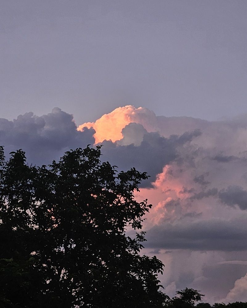 Photograph by Natalia Cuciaș