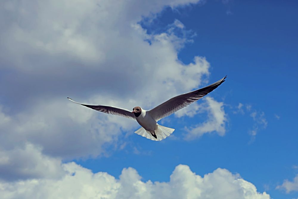 Photograph by Татьяна Слесарева