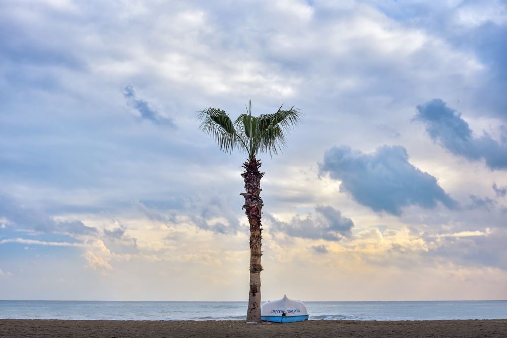 Photograph by Vladimir Shish