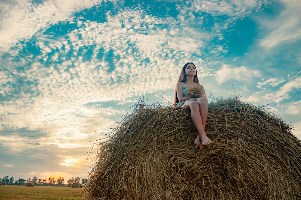 Фотография автора Елена Ибрагимова
