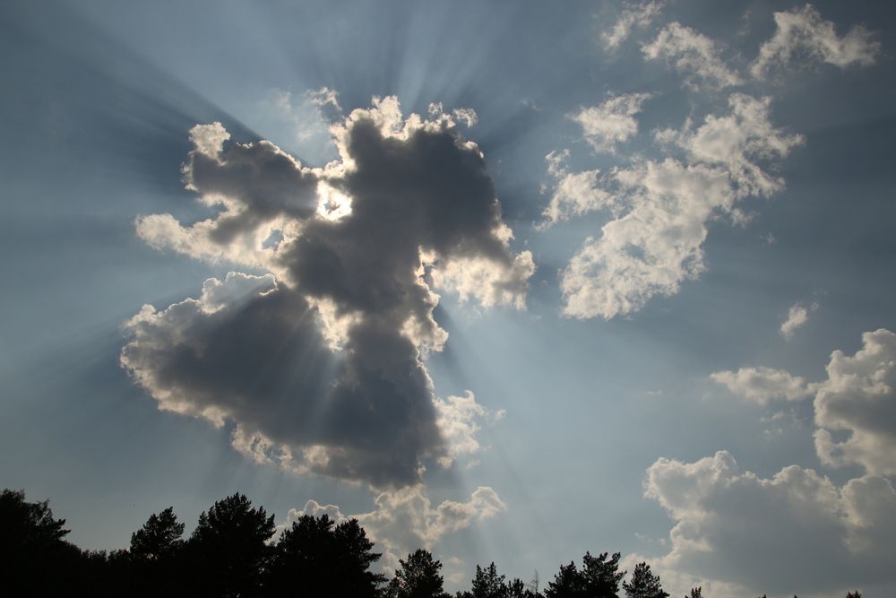 Photograph by Эдуард Петруша