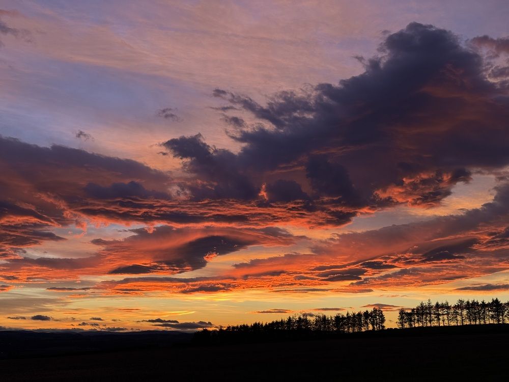 Photograph by Linsey Duffin