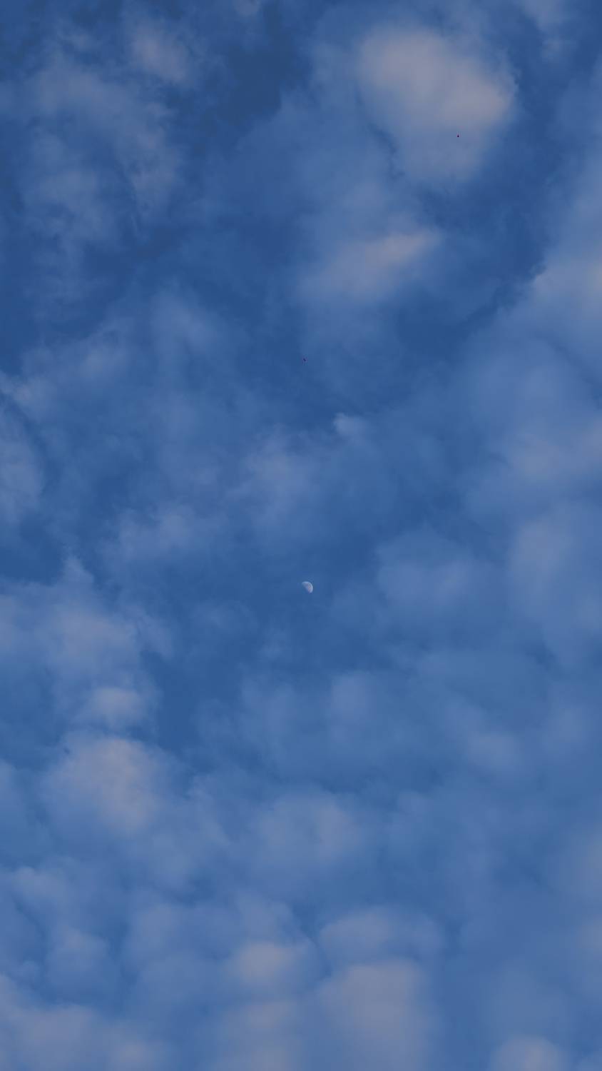 Photo #13758387