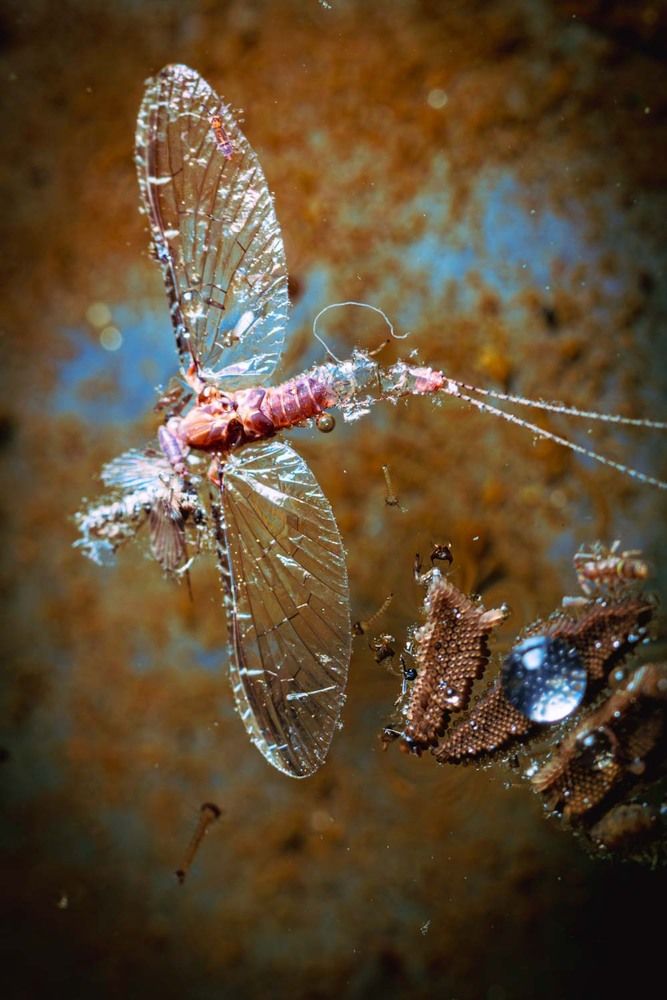 Photograph by Сергей Назаредский